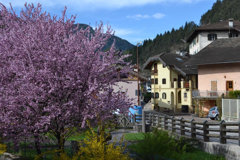 B&B La Tana dell'Orso - Die Bärenhöhle Castello-Molina di Fiemme Exterior foto